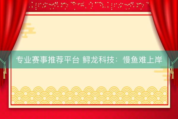 专业赛事推荐平台 鲟龙科技：慢鱼难上岸