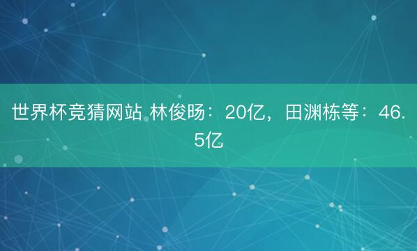 世界杯竞猜网站 林俊旸：20亿，田渊栋等：46.5亿