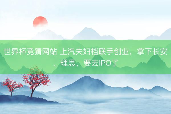世界杯竞猜网站 上汽夫妇档联手创业，拿下长安、理思，要去IPO了