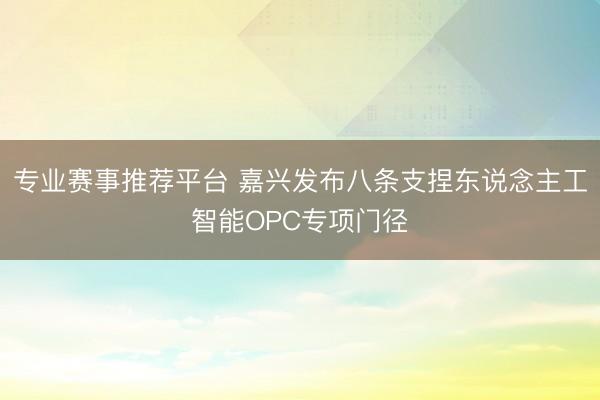 专业赛事推荐平台 嘉兴发布八条支捏东说念主工智能OPC专项门径