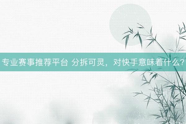 专业赛事推荐平台 分拆可灵，对快手意味着什么？