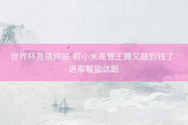 世界杯竞猜网站 前小米高管王腾又融到钱了：进军智能休眠