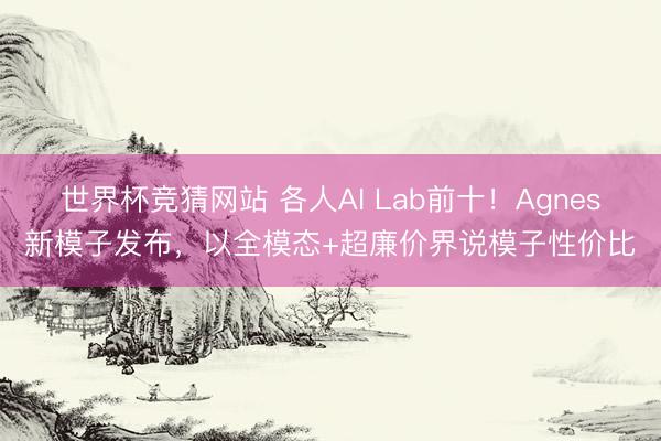 世界杯竞猜网站 各人AI Lab前十！Agnes新模子发布，以全模态+超廉价界说模子性价比