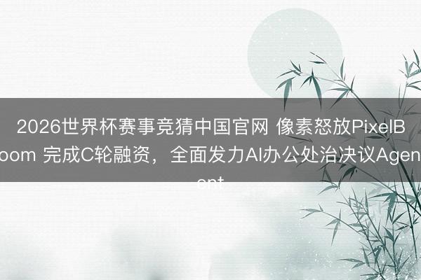 2026世界杯赛事竞猜中国官网 像素怒放PixelBloom 完成C轮融资，全面发力AI办公处治决议Agent