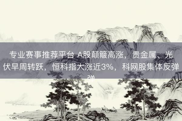 专业赛事推荐平台 A股颠簸高涨，贵金属、光伏早周转跃，恒科指大涨近3%，科网股集体反弹