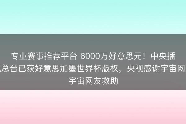 专业赛事推荐平台 6000万好意思元!中央播送电视总台已获好意思加墨世界杯版权,央视感谢宇宙网友救助
