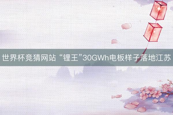 世界杯竞猜网站 “锂王”30GWh电板样子落地江苏