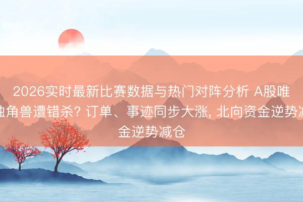 2026实时最新比赛数据与热门对阵分析 A股唯独独角兽遭错杀? 订单、事迹同步大涨， 北向资金逆势减仓