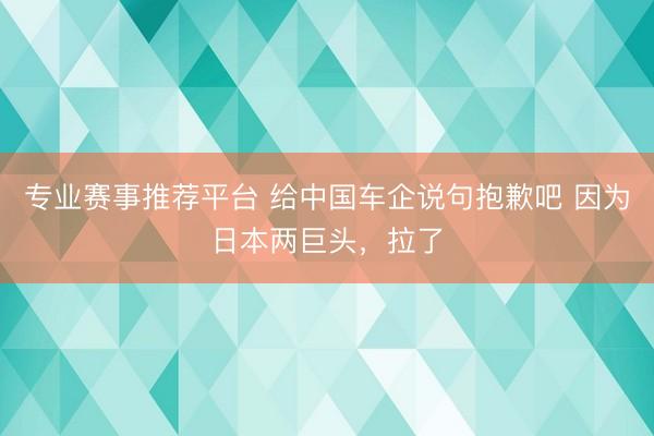 专业赛事推荐平台 给中国车企说句抱歉吧 因为日本两巨头，拉了