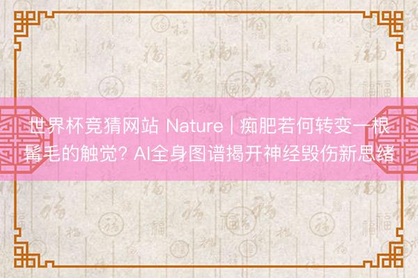 世界杯竞猜网站 Nature | 痴肥若何转变一根髯毛的触觉? AI全身图谱揭开神经毁伤新思绪