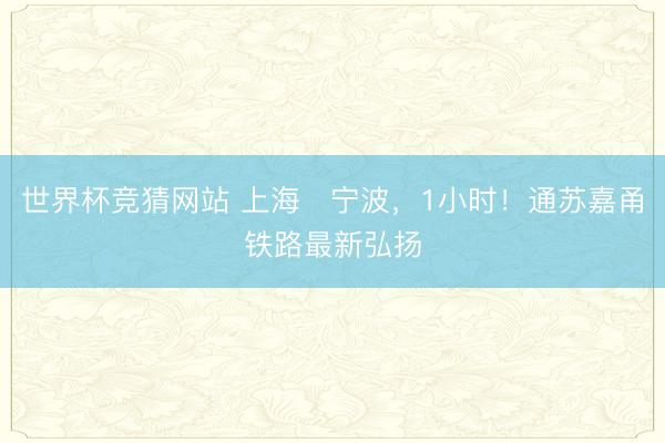 世界杯竞猜网站 上海⇌宁波,1小时!通苏嘉甬铁路最新弘扬