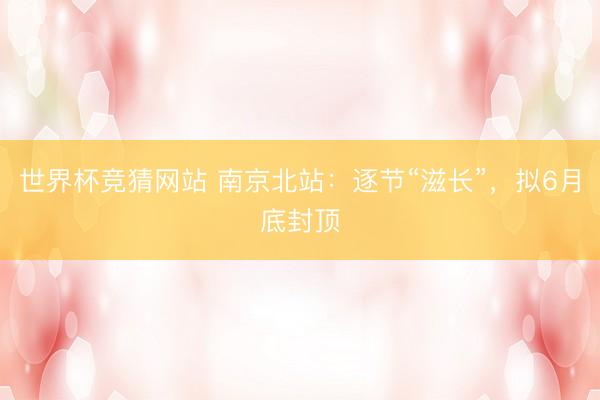 世界杯竞猜网站 南京北站:逐节“滋长”,拟6月底封顶