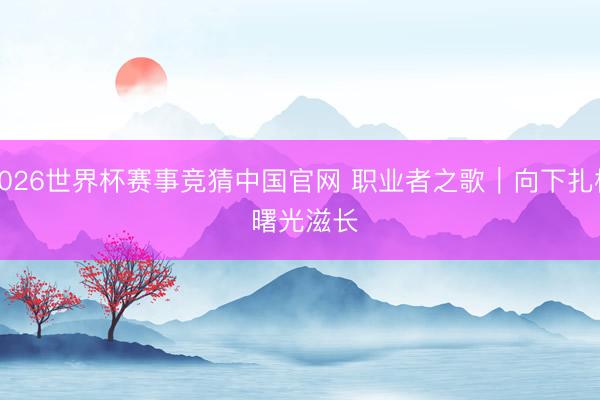 2026世界杯赛事竞猜中国官网 职业者之歌｜向下扎根 曙光滋长