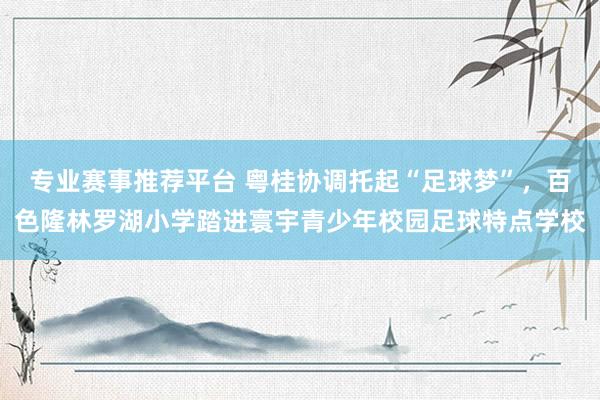 专业赛事推荐平台 粤桂协调托起“足球梦”，百色隆林罗湖小学踏进寰宇青少年校园足球特点学校